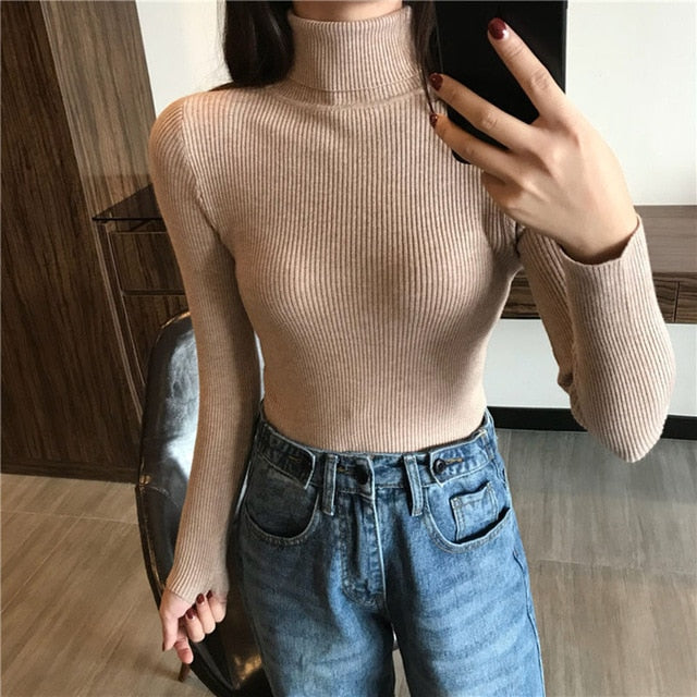 Knitted Long Sleeve Turtleneck Sweater